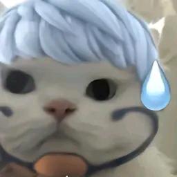 啊～啾～