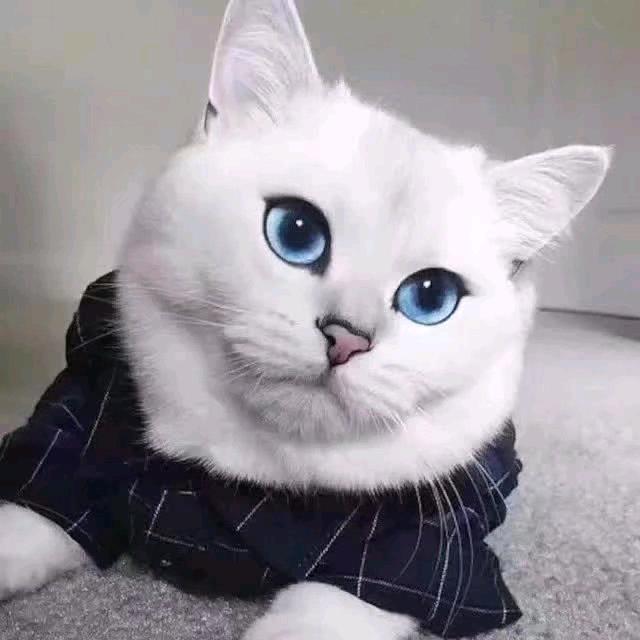我不叫十一啊