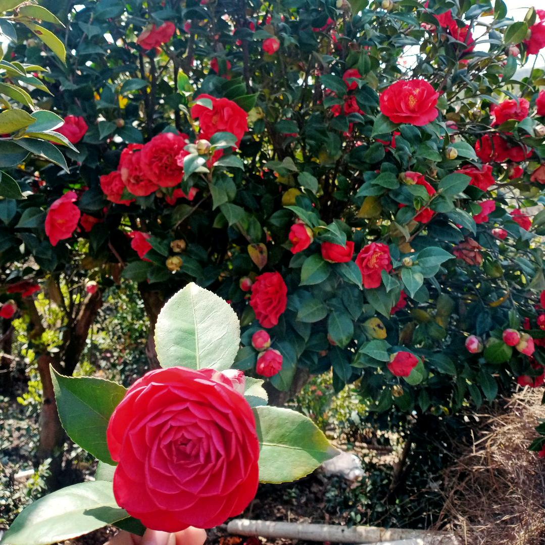 一转身，便是一生