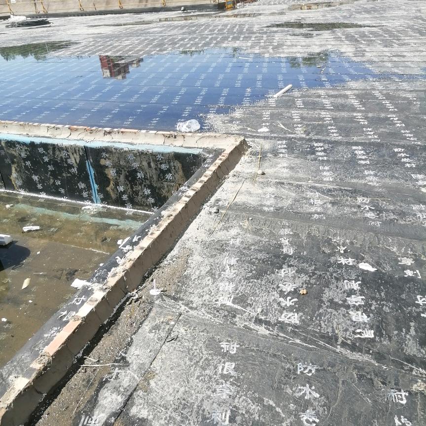 平舆防水：…，好.↘