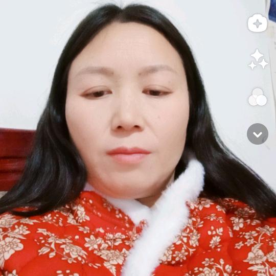 荷塘莲花