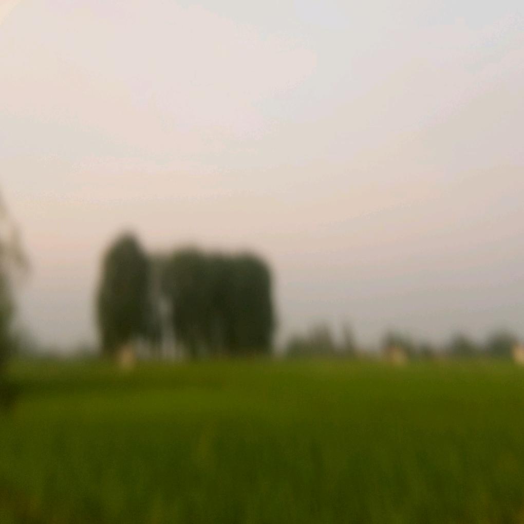 开心快乐每一天。