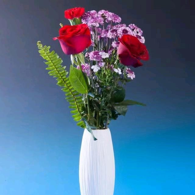 随遇🌹而安