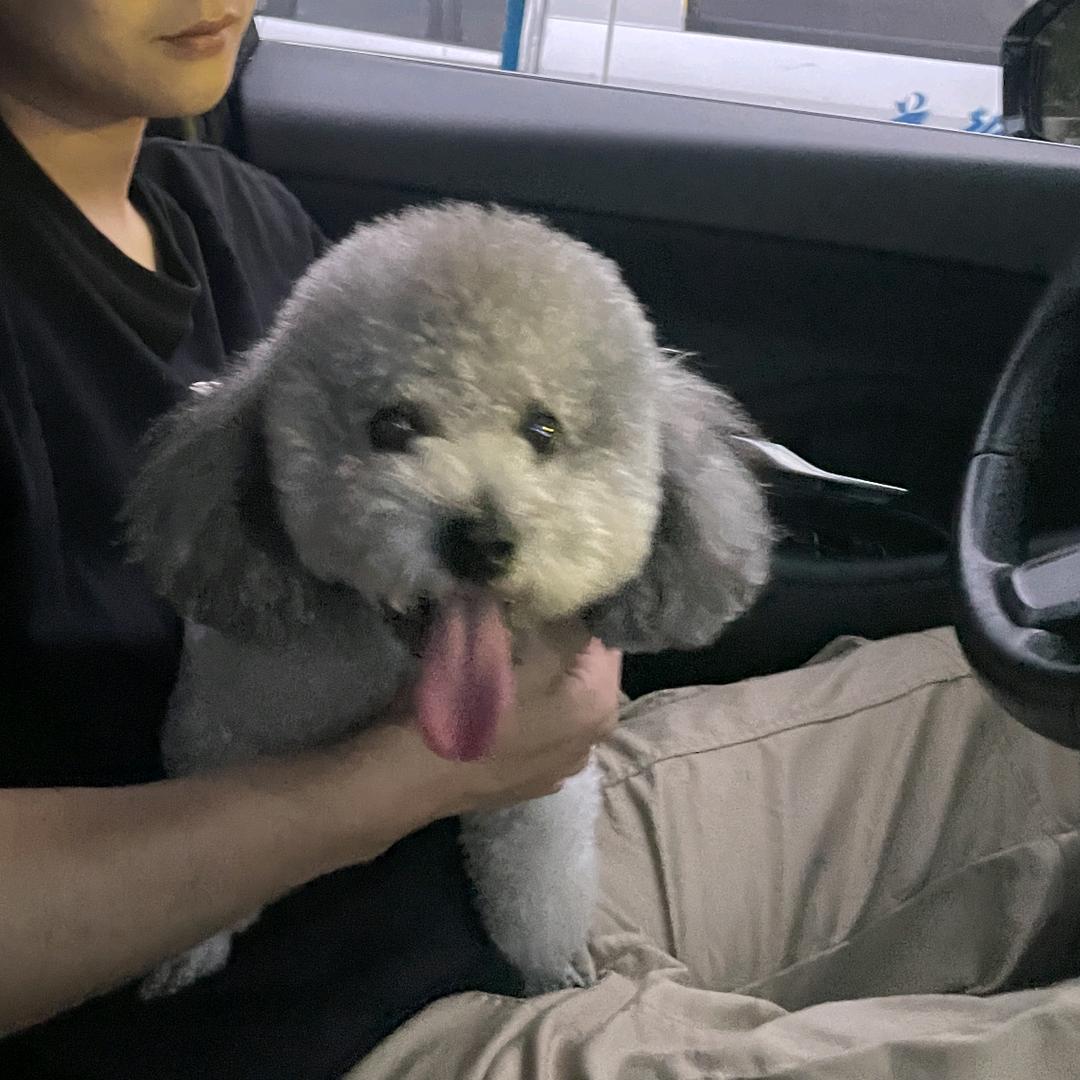 禧玛诺拒签钓手