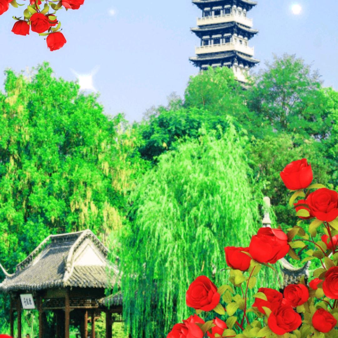 廉江农村人