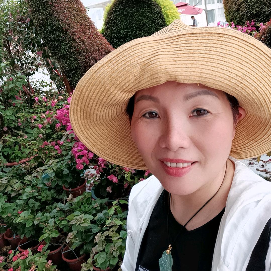 菩提子