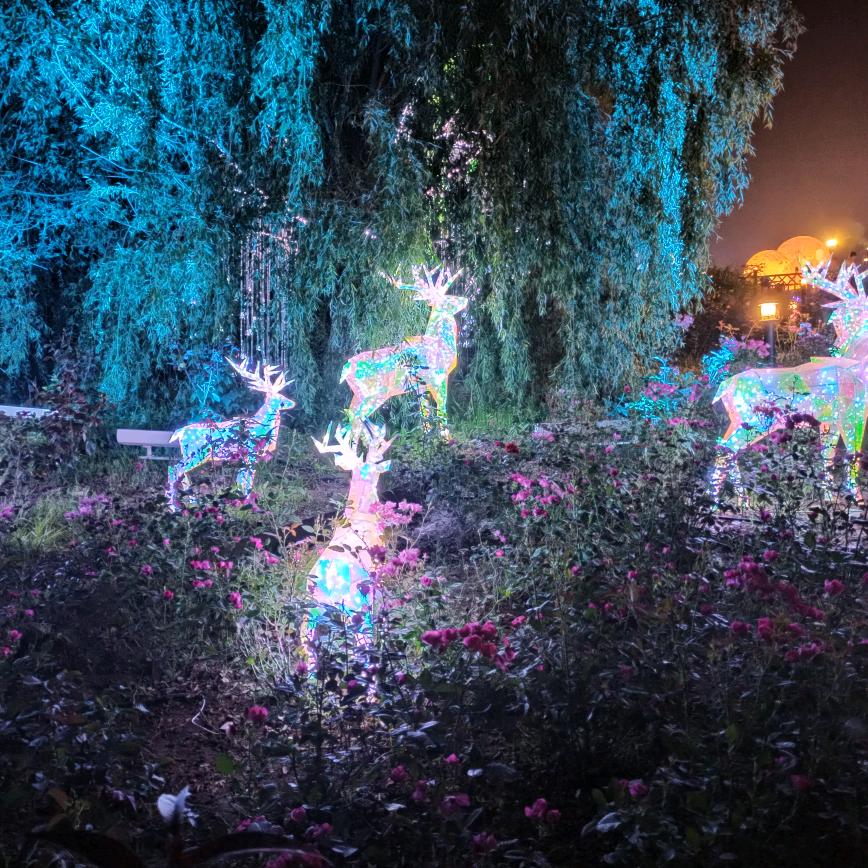 夜晚的路灯
