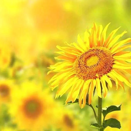 与20后一起上学