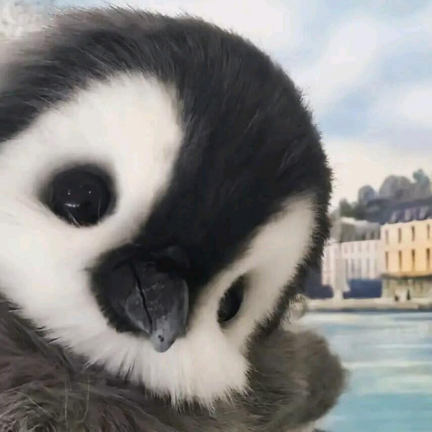 刘尔力.