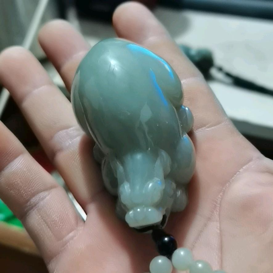 九哥