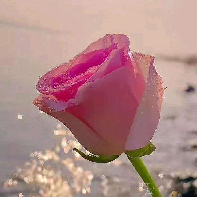 日月安好🌙☀️