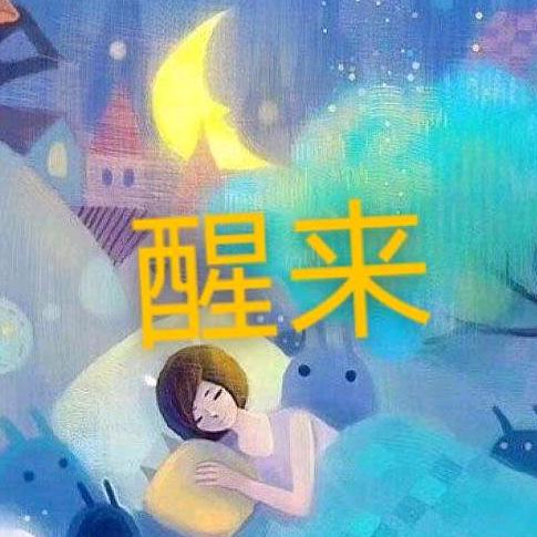 三毛不迷路