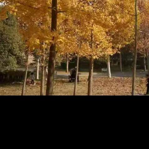 方圆鼓舞～芳