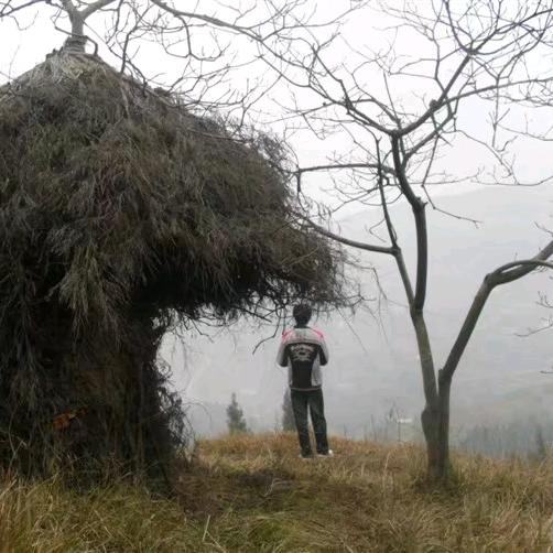 ঞᩚ渡劫꧔ꦿ᭄