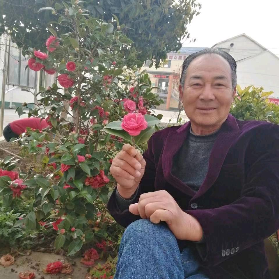 王治平