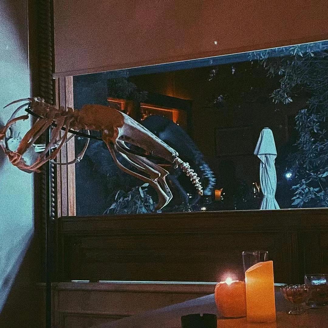 今夜不爱人类☜