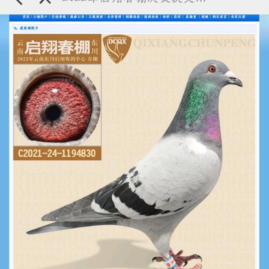 云南北羊鸽舍