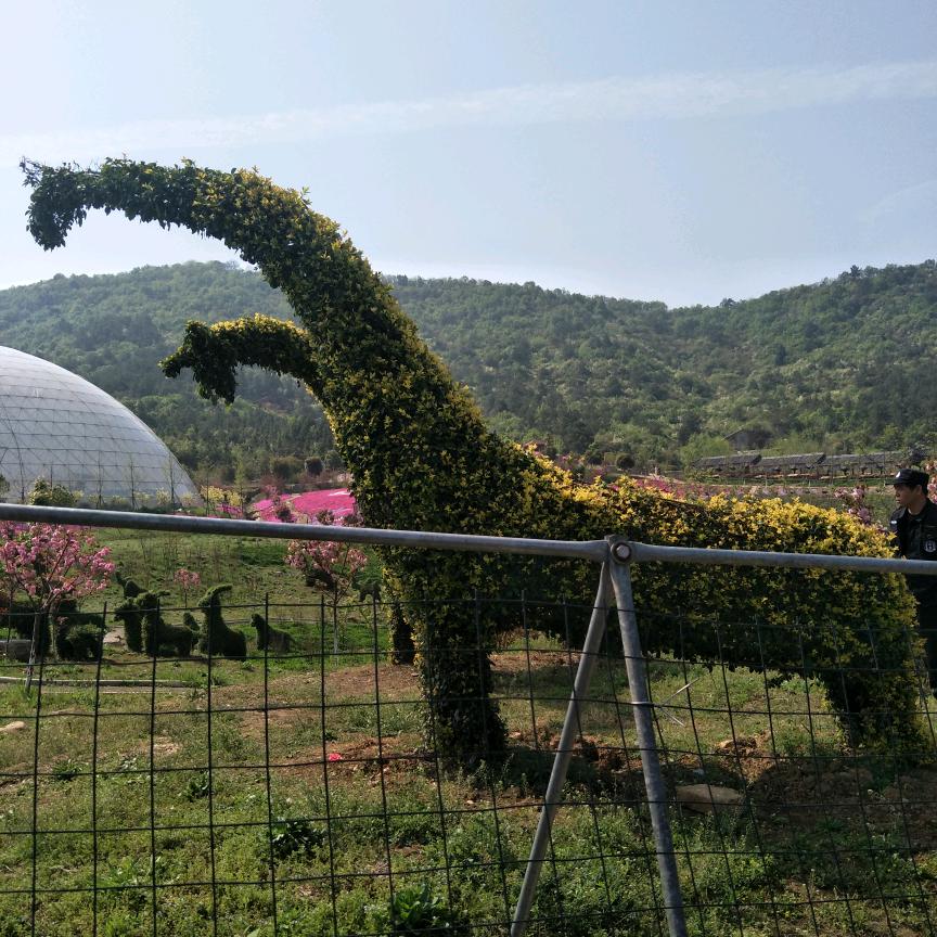 🌻心若向阳，便是晴天🌻