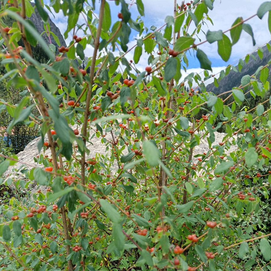 👿👿👿开心开心😄😄😄😄