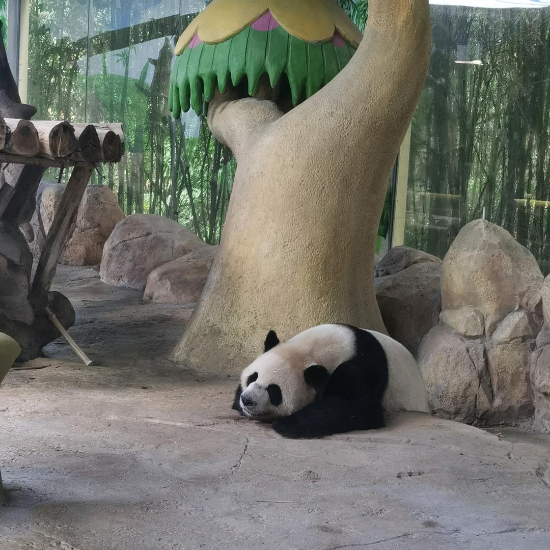 雨天的太阳