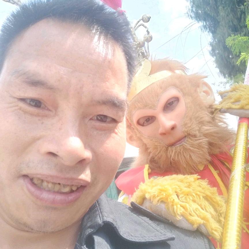 段氏，鸡业养殖