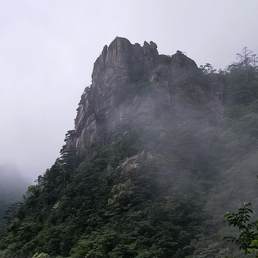 @一家之煮
