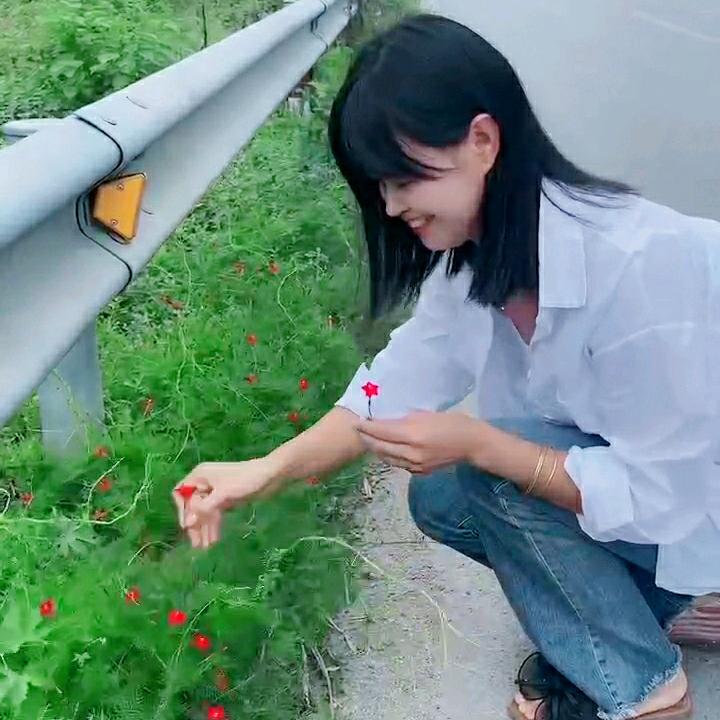 喜欢手机摄影