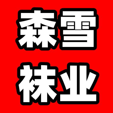 森雪网络