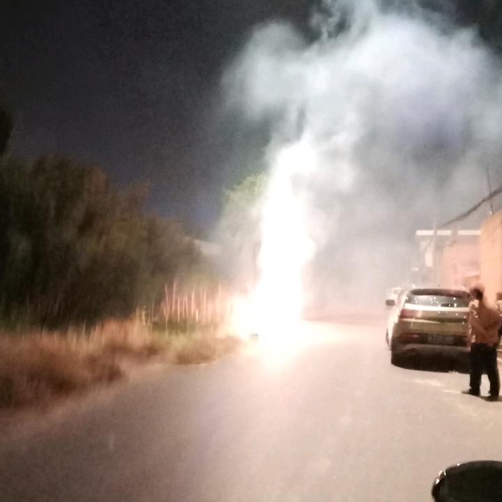 果树已开花