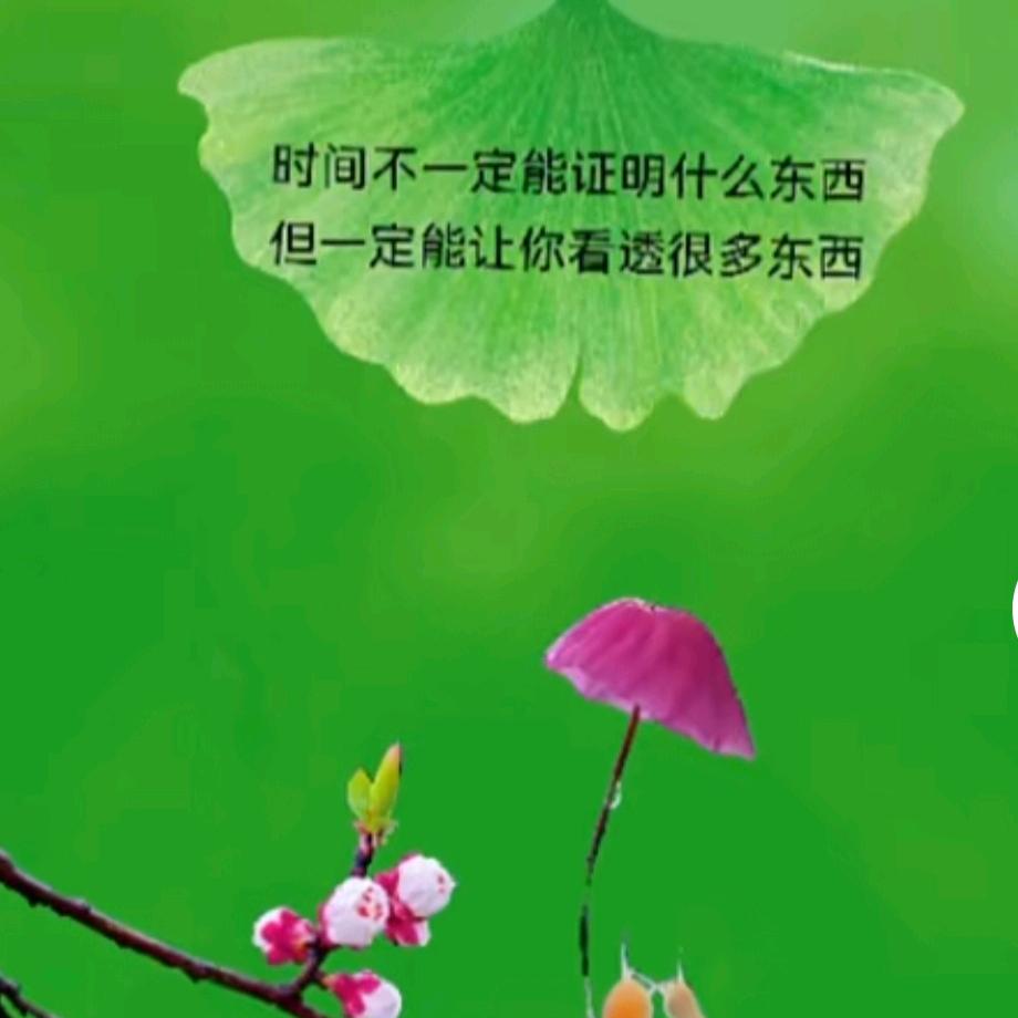 用户6159658190261孤魂