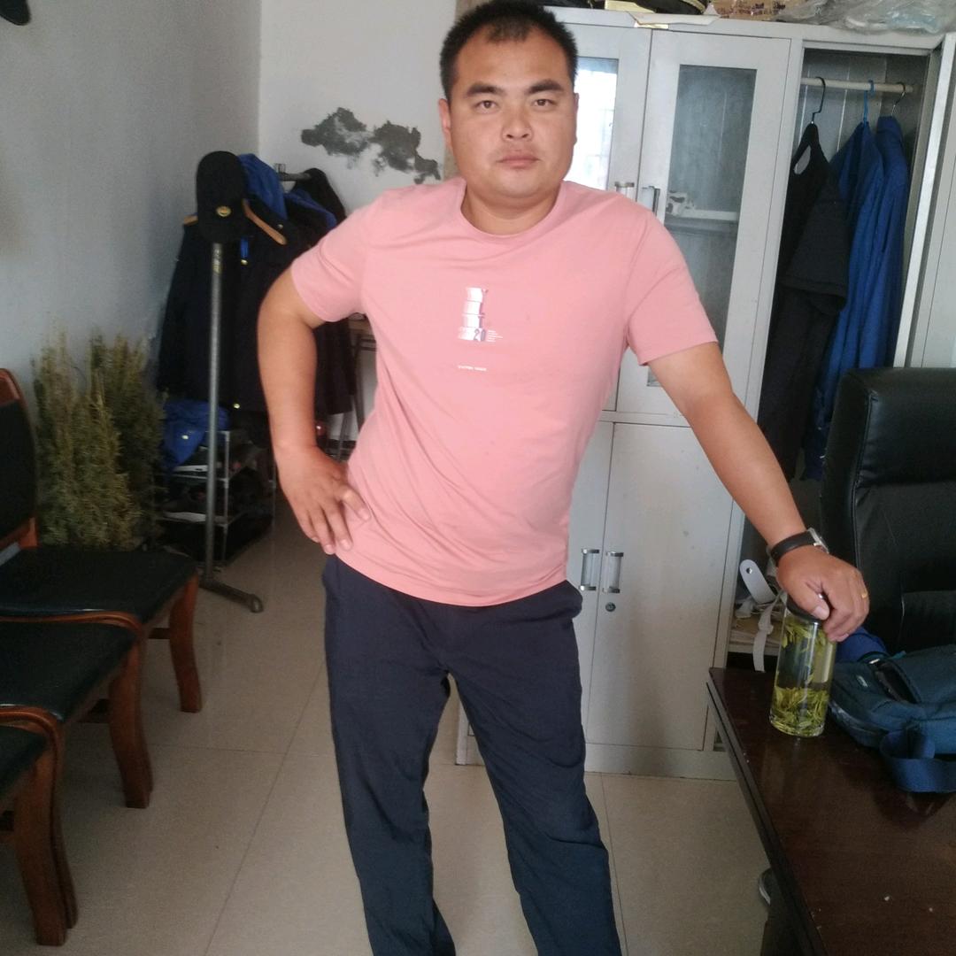 忠诚的狼