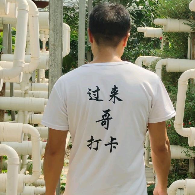 过来哥打卡