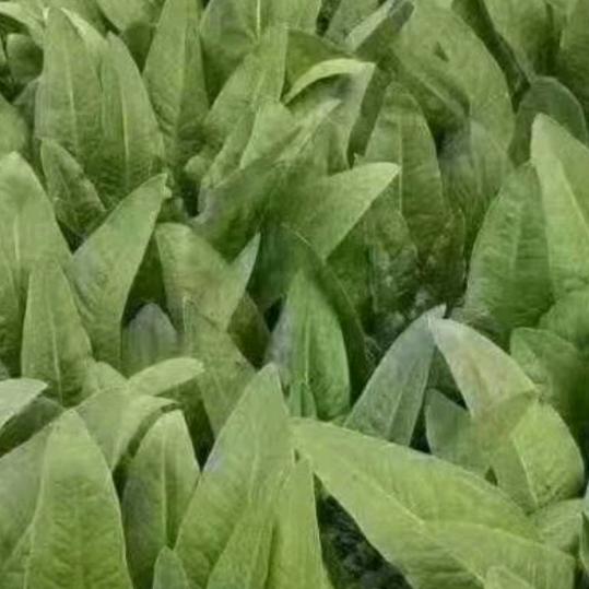 我真惜，我遇见过您。