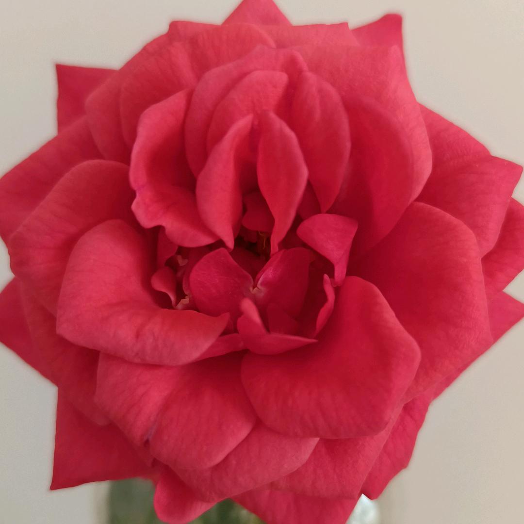 💖刻骨铭心💖