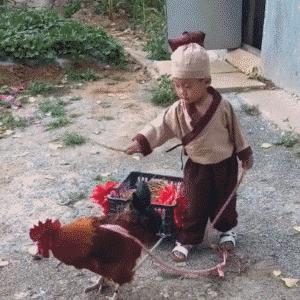 如初