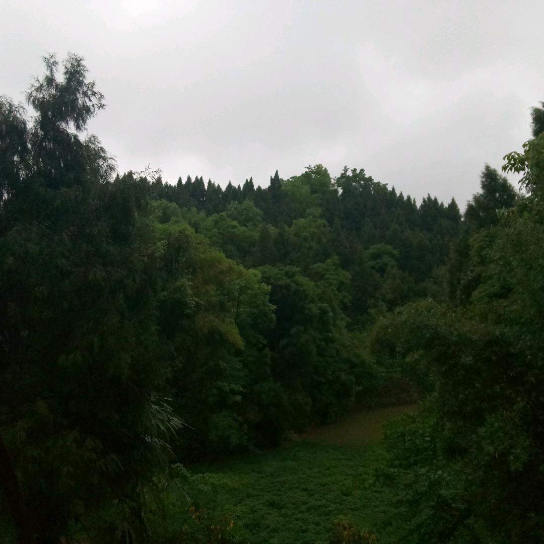 青山绿水