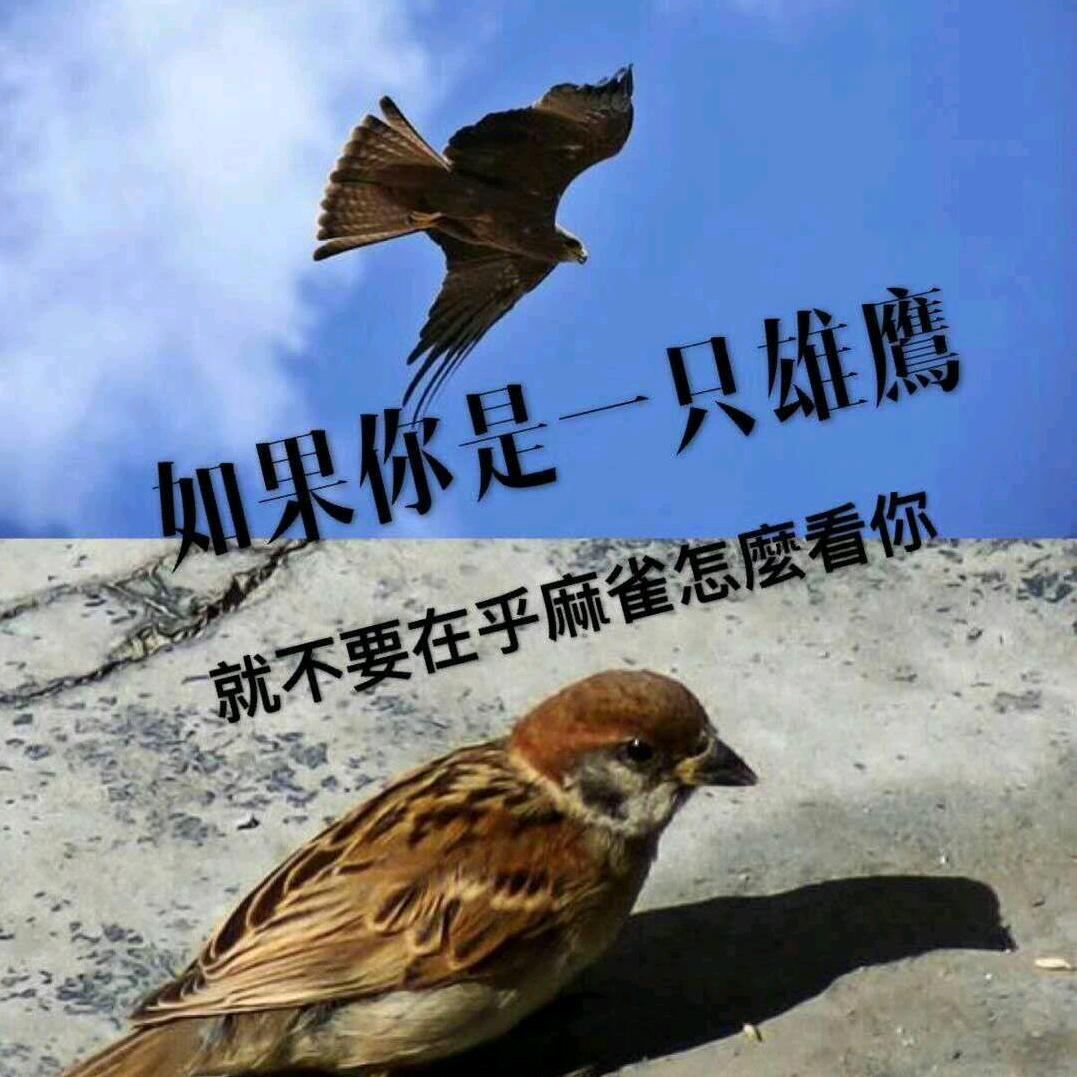 爱你一辈子