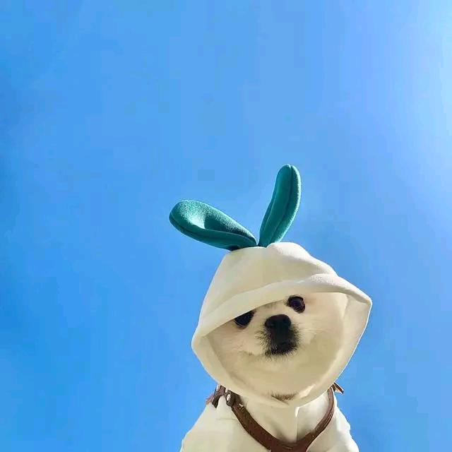 拾秋与霖