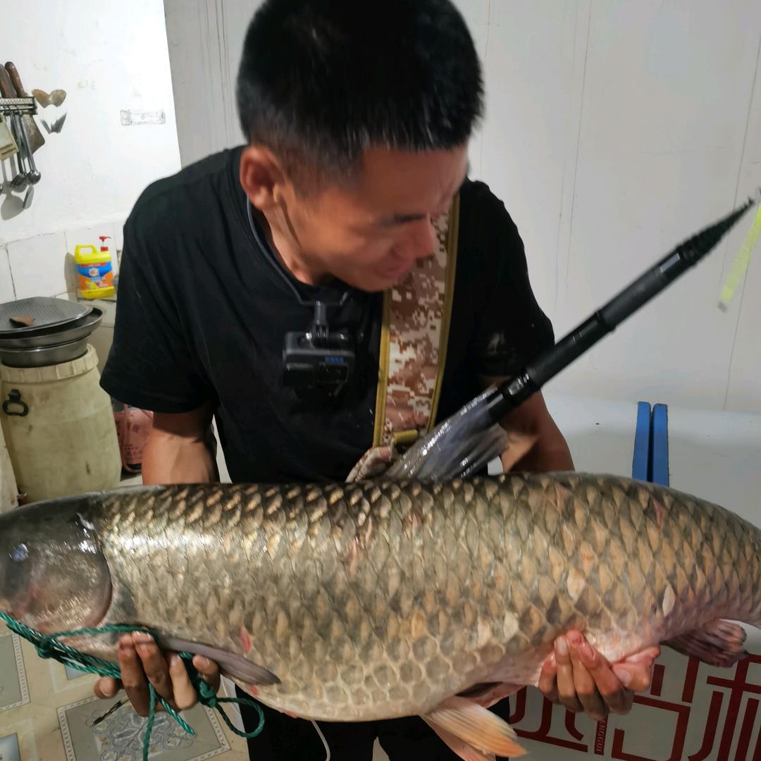 野战谷麦(刚哥)