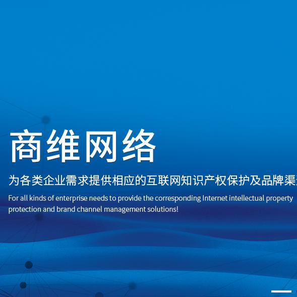 商维控价