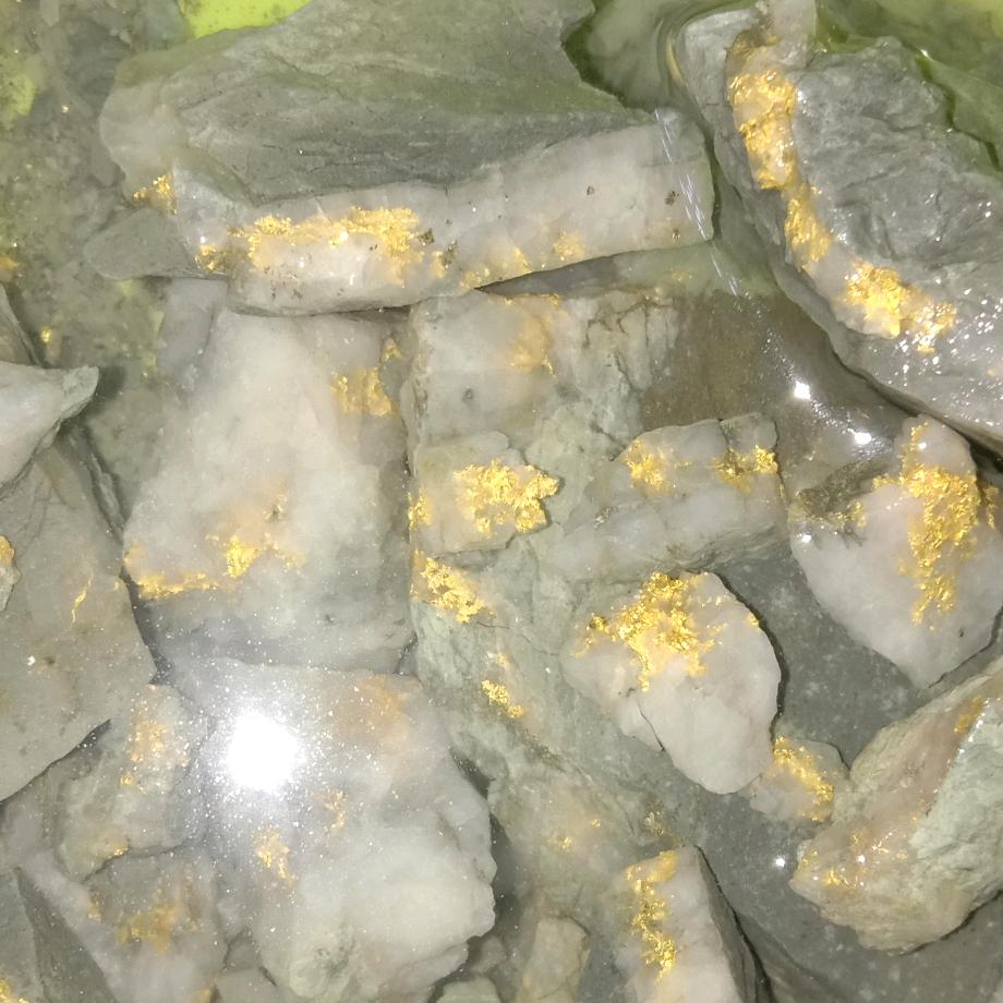 满天飞