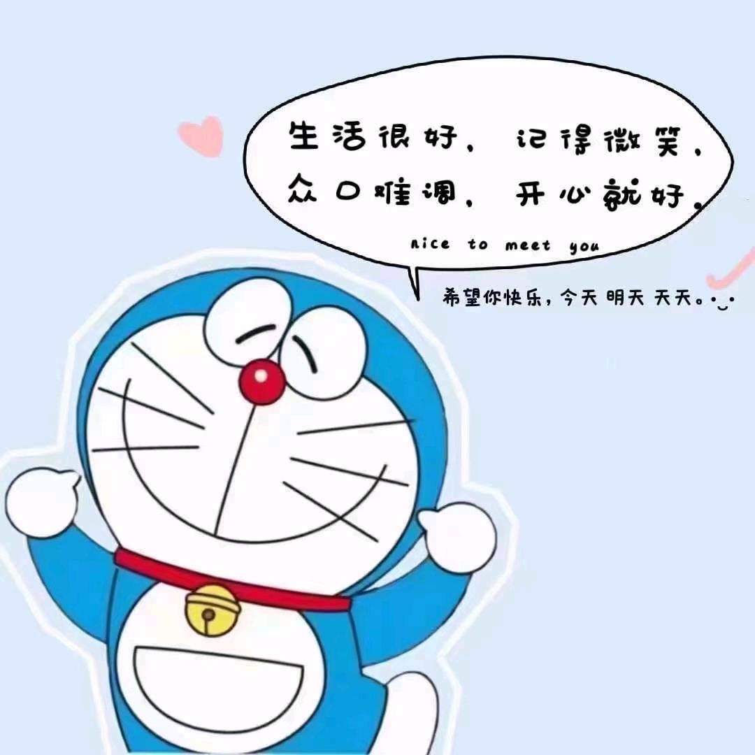 姐伤不起