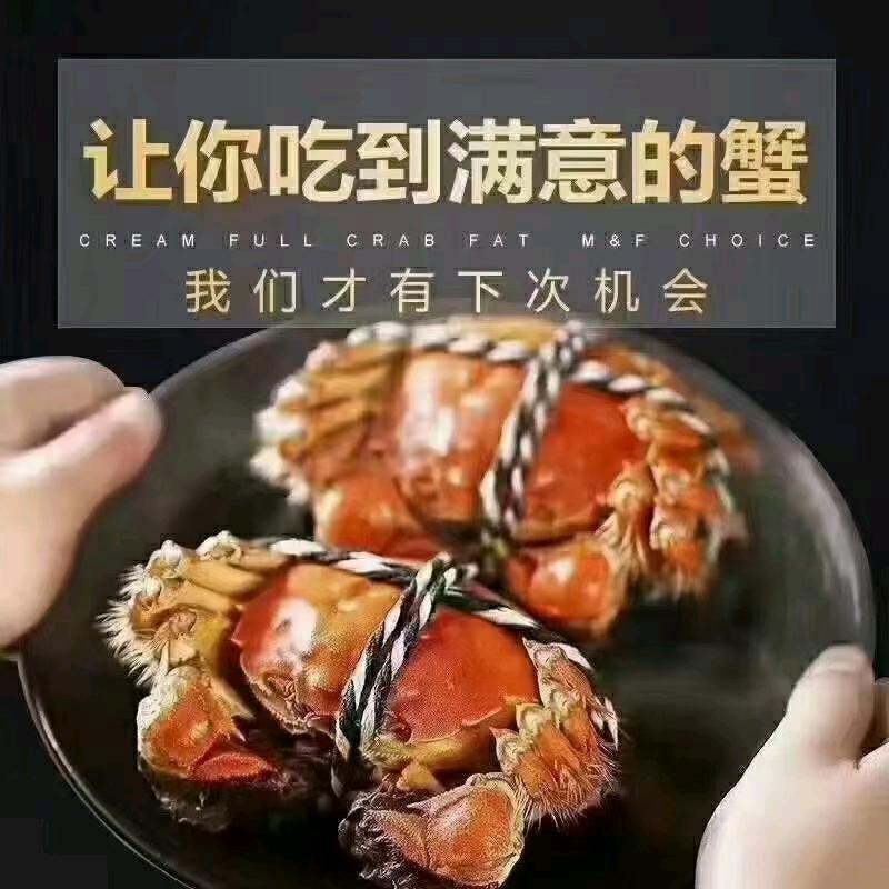 磊子螃蟹官方号