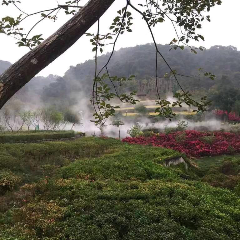 相思的鱼～好物百货