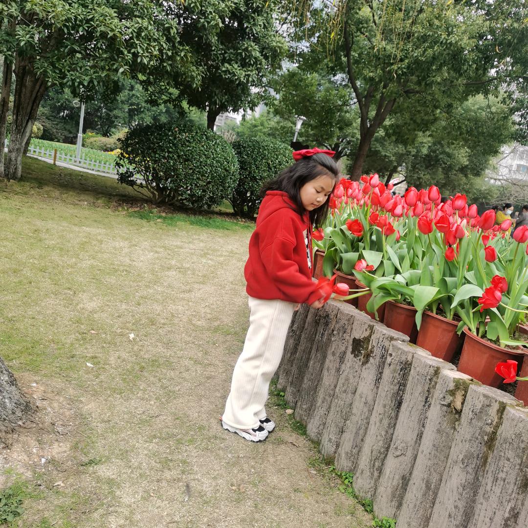赫楠艺