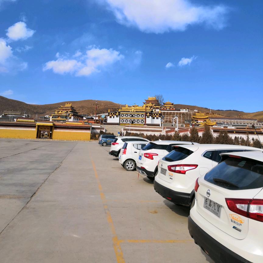 逆流而上。从不认输。