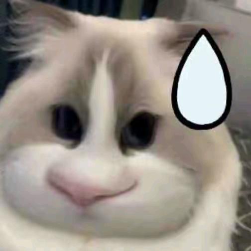 超级真蛋