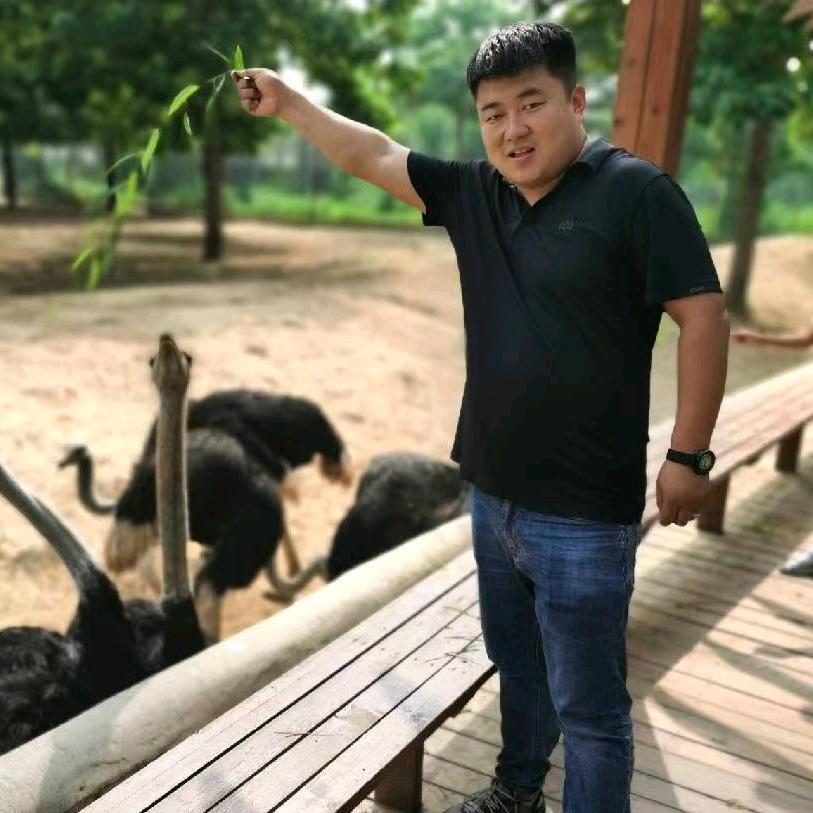 杨磊