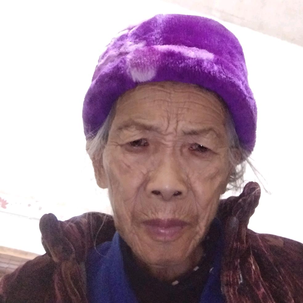 小狗狗