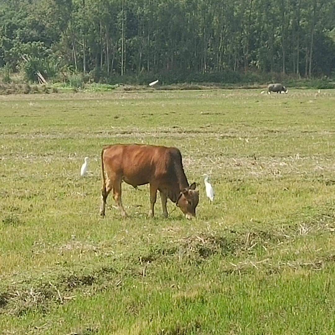 心有晴天便无风雨